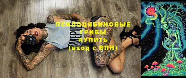 ГАЛЛЮЦИНОГЕННЫЕ ГРИБЫ Алексин