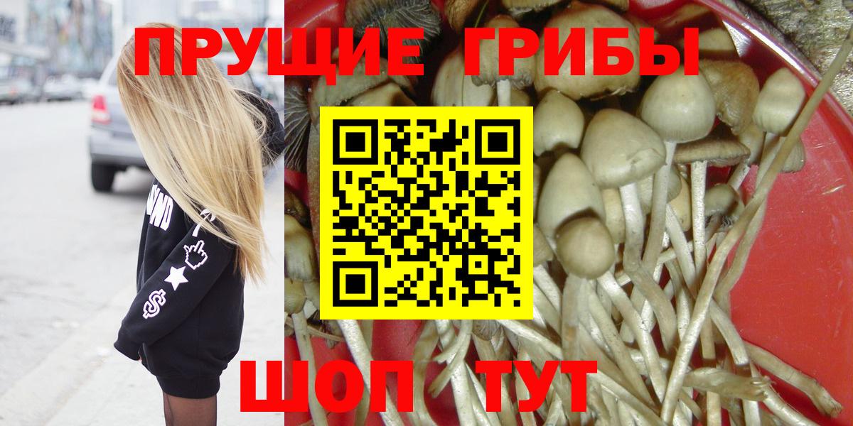 Галлюциногенные грибы GOLDEN TEACHER  где купить наркоту  Новочеркасск  Вход с VPN 