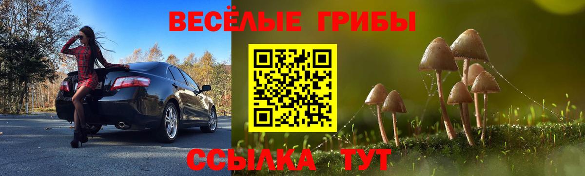 Псилоцибиновые грибы Cubensis Новочеркасск