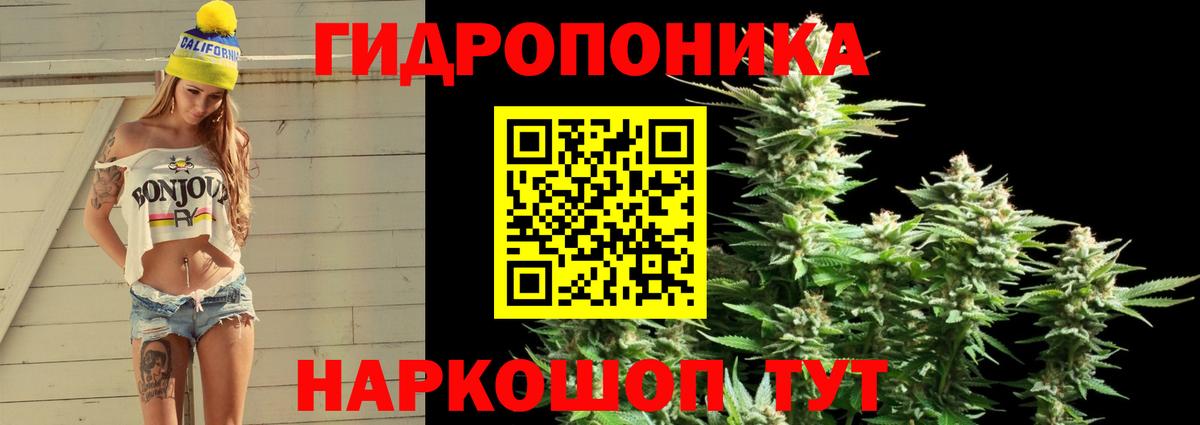 Бошки марихуана SATIVA & INDICA Новочеркасск